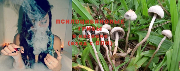 мяу мяу мука Касимов