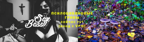 мяу мяу мука Касимов