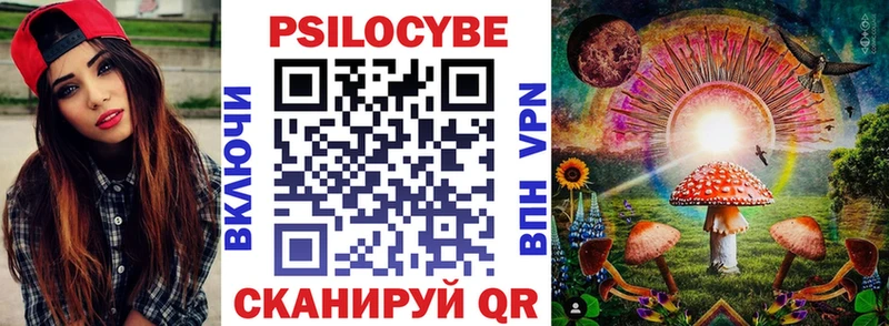 Купить где  Клин  Псилоцибиновые грибы Magic Shrooms 