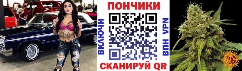 Шишки марихуана ГИДРОПОН  Купить  Клин 